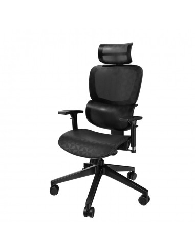 Chaise Ergonomique Elite destockage