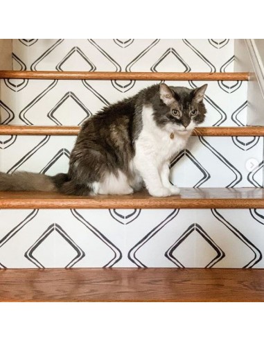 Harlow Stair Riser Stickers