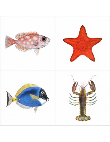 Vintage Fish & Sea-life Illustrations Vinyl Tile Sticker