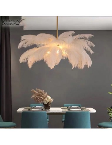 Lustre plume blanche Dans la société mordern