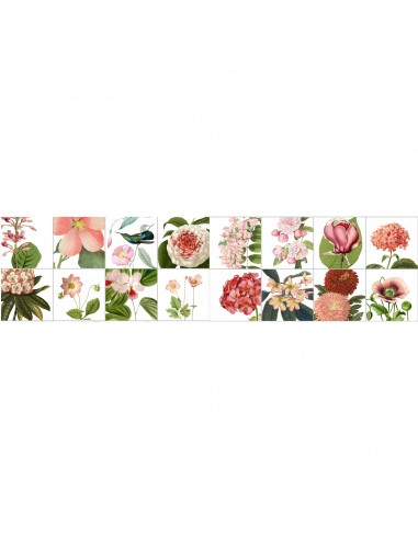 Botanic Floral Illustrations Wallpaper